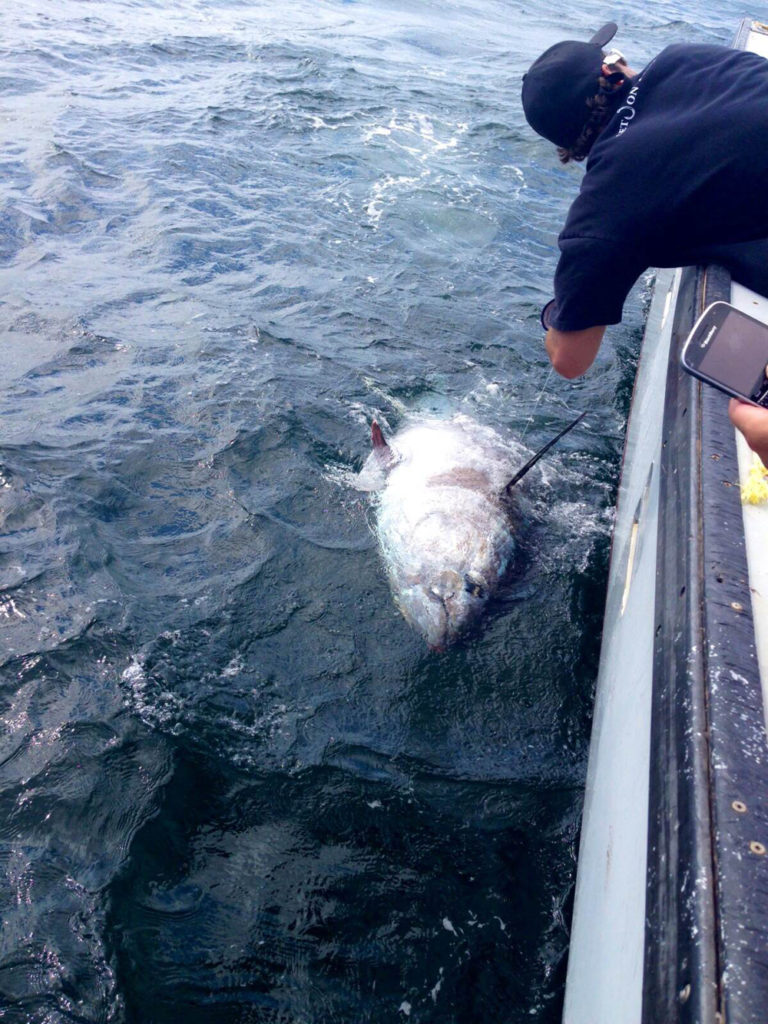 Excursion de pêche au thon rouge — Scotia Bluefin Tuna Charters – Scotia Bluefin Tuna Charters