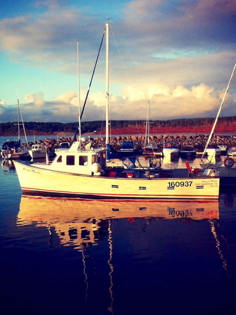 Forfaits de pêche — Scotia Bluefin Tuna Charters – Scotia Bluefin Tuna Charters